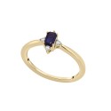 Blue Sapphire and White Sapphire Ring in 14K Yellow Gold Over Sterling Silver